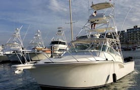 Fishing Charter on 40' Cabo Express Sports Fishing Boat in Cabo San Lucas!