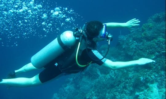 Diving Courses in Gerokgak, Bali