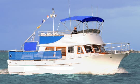 Motor Yacht for 20 Guests (Not only 12) in Miami