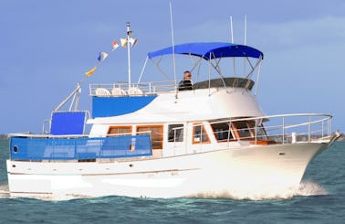 Motor Yacht for 20 Guests (Not only 12) in Miami