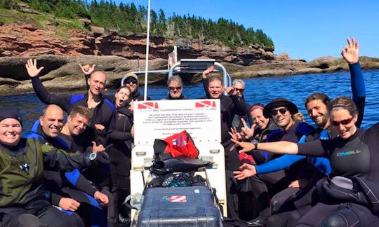 Learn to Scuba Dive with Steven in Percé, Canada