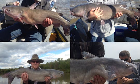 Sport Fisherman for Rent in Winnipeg Manitoba Canads