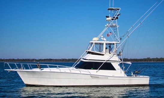 Fishing Charters On Sport Fisherman With Captain Justin In Panama City, United States