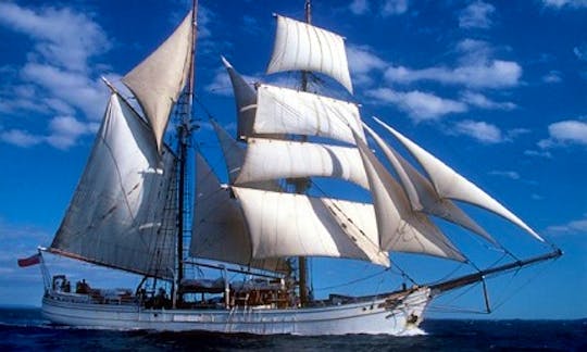 Tall Ship Sails on Sydney Harbour