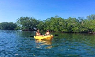 Kayak Rentals and Guided Tours in Islas de la Bahía, Honduras