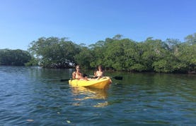 Kayak Rentals and Guided Tours in Islas de la Bahía, Honduras