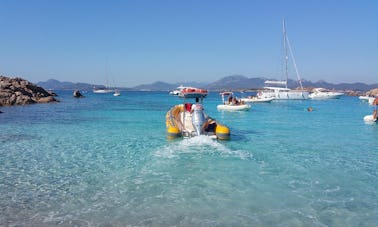 RIB Boat Diving, Snokeling & PADI Courses in Golfo Aranci