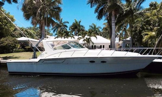 boat rental in jamaica boat rentals in montego bay boat rental in jamaica boat rentals in montego bay