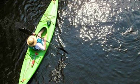 Beginners kayaking on the Quinnipiac River in New Haven and explore the bird sanctuary and you can go fishing also