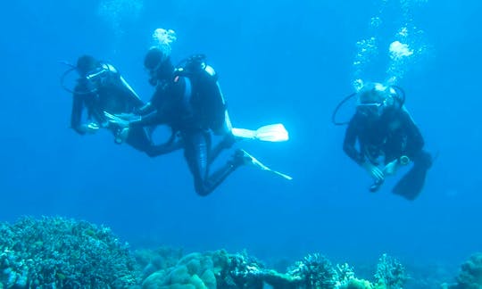 Scuba Diving & Snorkeling on Apo Islands, Philippines