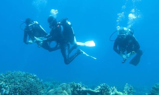 Scuba Diving & Snorkeling on Apo Islands, Philippines