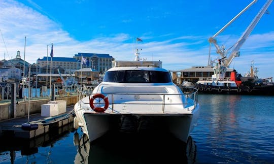 Charter on Power Catamaran from South Africa