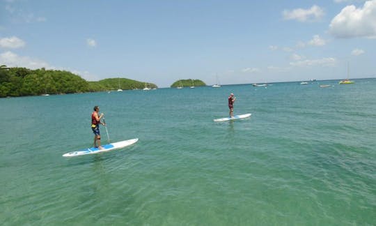 PADDLE SUP