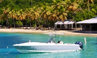 32ft Intrepid Charters USVI and BVI Day Trips!
