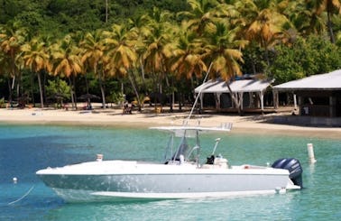 32ft Intrepid Charters USVI and BVI Day Trips!