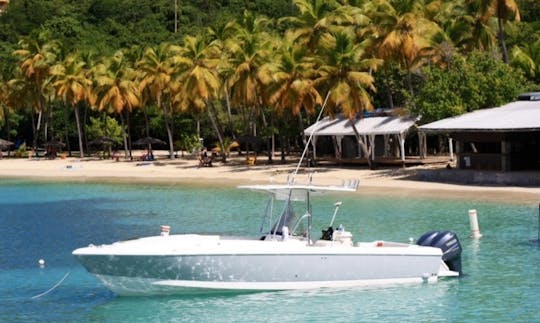 Sonic Charters anchored off Water Island