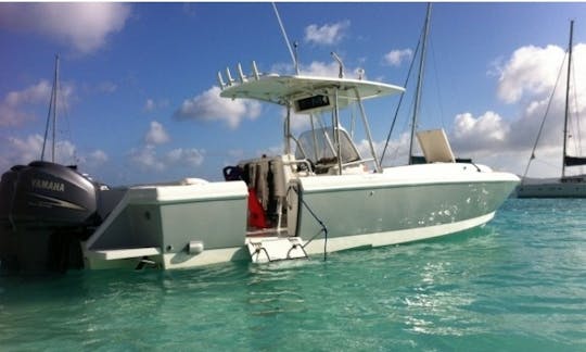 32ft Intrepid Charters USVI and BVI Day Trips!