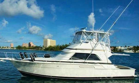 First Strike Charters is your first choice.