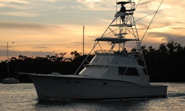 Fishing Charters On 45' Sport Fisherman In Miami, FL!