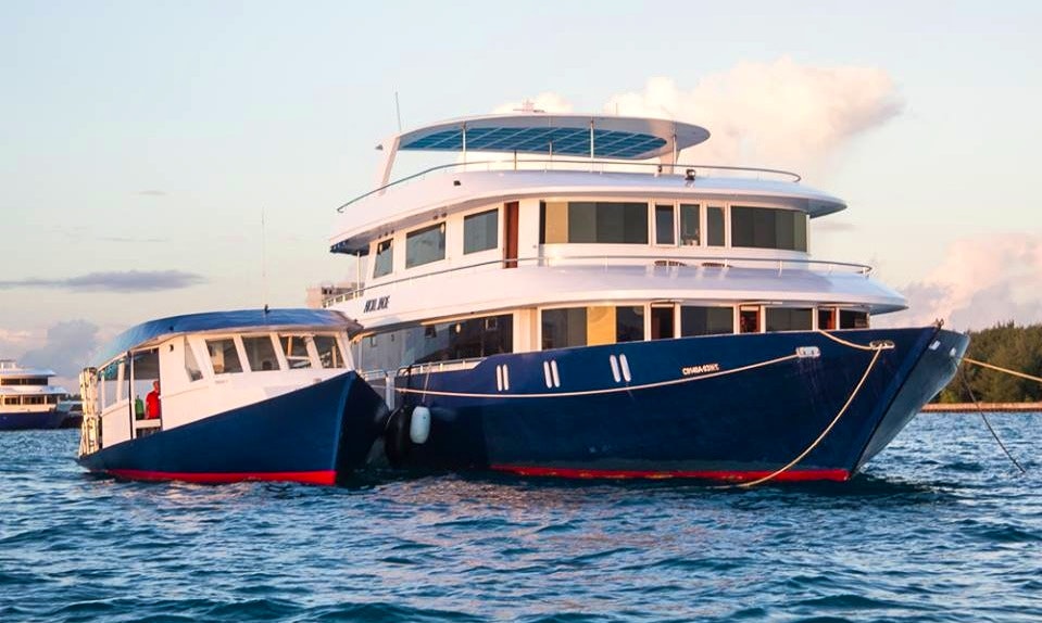 Charter The Liveaboard 95ft Atoll Jade In Male Maldives Charter The Liveaboard 95ft Atoll Jade In Male Maldives