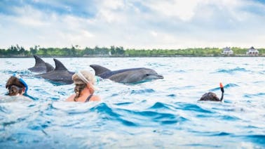 Tour con delfines en la isla de Mnemba en la isla de Mnemba en Zanzíbar