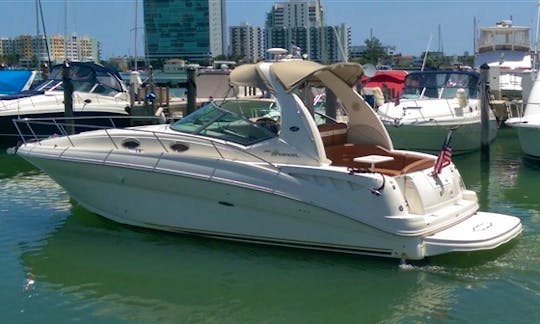 Beautiful 36' Sea Ray Motor Yacht up to 13 guests and floating Island in Miami!!