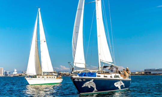 Découvrez la voile à San Diego avec un capitaine à bord d'un grand voilier privé