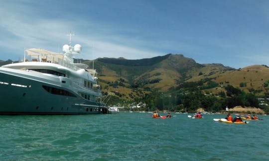 Cruise Ship Passenger Trips in Akaroa, New Zealand