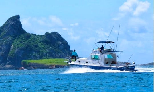 Fernando de Noronha Fishing Charter on 32' Carbras Mar Yacht in Brazil