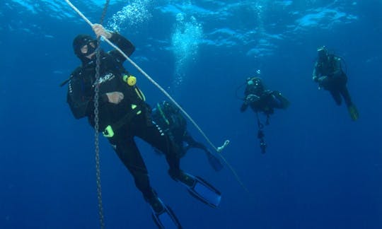 テネリフェ島アバデスのダイビングコースをお楽しみください