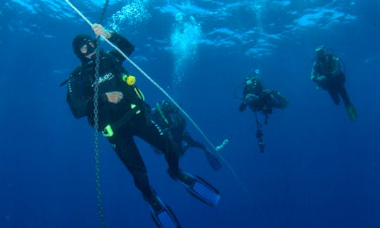 Enjoy Diving Courses in Abades, Tenerife