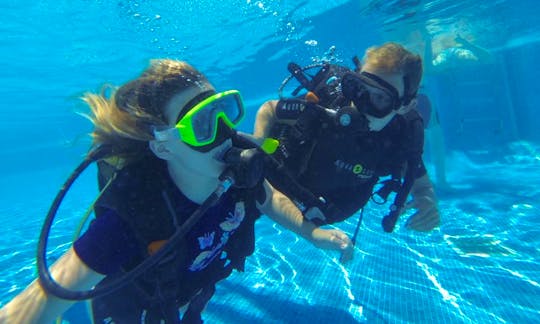 Enjoy Diving Courses in Abades, Tenerife