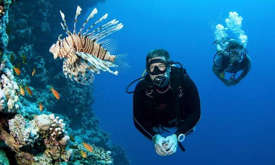 Disfruta de los cursos de buceo en Velidhoo, Maldivas