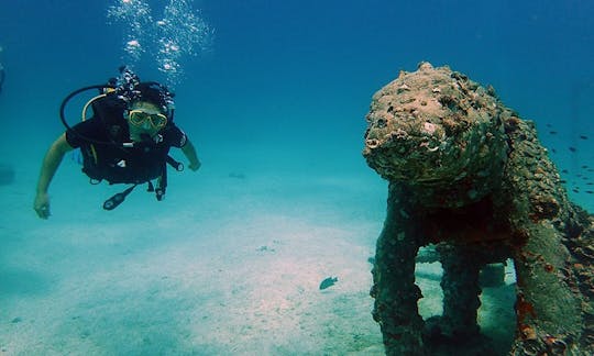 PADI Discover Scuba Diving y cursos avanzados de buceo en Koh Tao, Tailandia