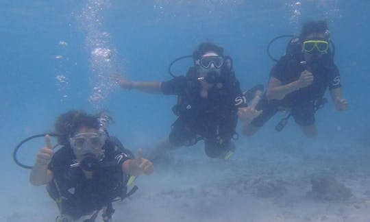 PADI Discover Scuba Diving y cursos avanzados de buceo en Koh Tao, Tailandia