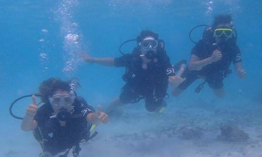 PADI Discover Scuba Diving and advanced diving courses in Koh Tao, Thailand
