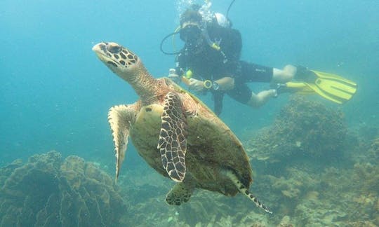 PADI Discover Scuba Diving y cursos avanzados de buceo en Koh Tao, Tailandia