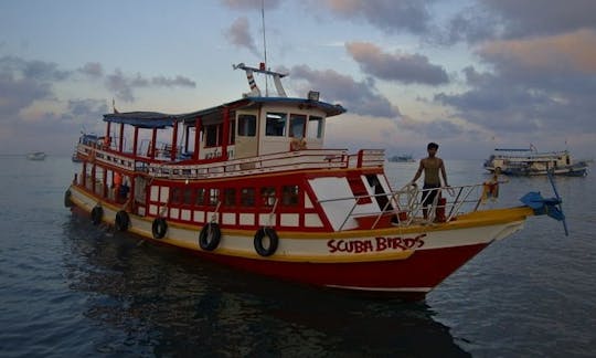 PADI Discover Scuba Diving y cursos avanzados de buceo en Koh Tao, Tailandia