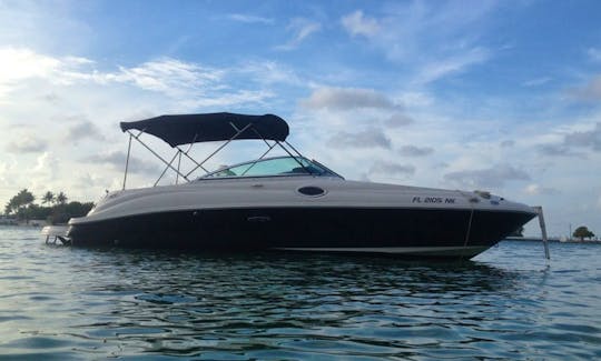 Charter Bowrider 24' SeaRay SunDeck in Miami Beach, Florida