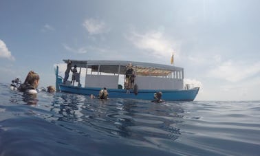 Enjoy Diving Courses in Velidhoo, Maldives