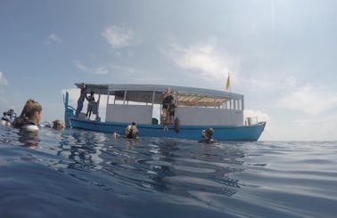 Enjoy Diving Courses in Velidhoo, Maldives