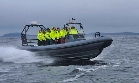 Enjoy Tønsberg, Vestfold on 32' Rigid Inflatable Boat