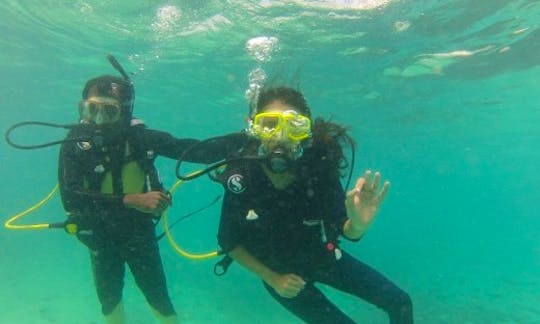 The Most Adventurous Water Sports! Diving in Malvan