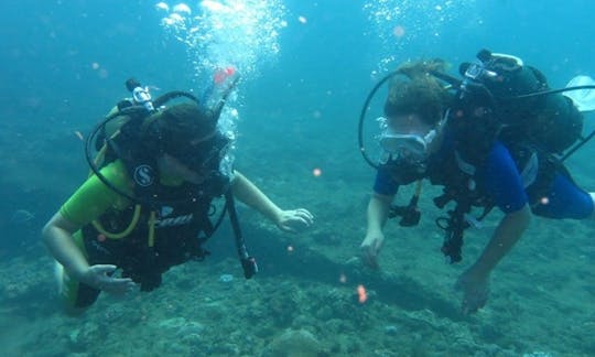 Enjoy Diving Courses in Benoni, Gauteng