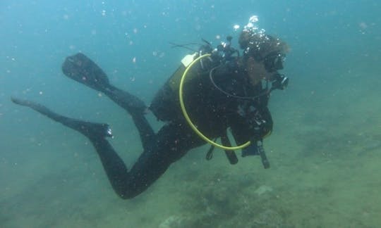 Enjoy Diving Courses in Benoni, Gauteng