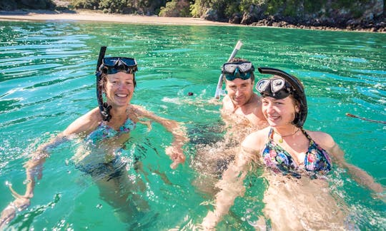 Enjoy Snorkeling Tours in Whakatane, New Zealand