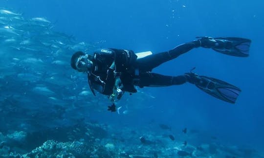 Disfruta de viajes de buceo en Wakatobi, Indonesia