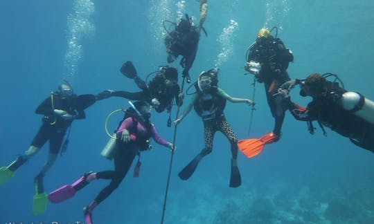 Disfruta de viajes de buceo en Wakatobi, Indonesia