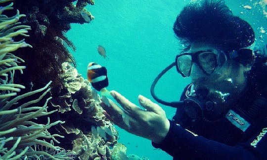 Disfruta de viajes de buceo en Wakatobi, Indonesia