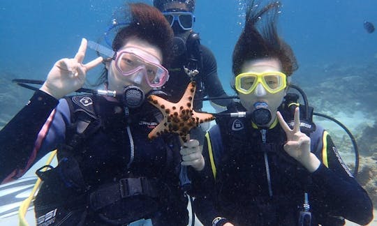 Desfrute de viagens de mergulho na Ilha de Boracay, Filipinas